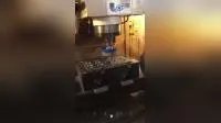 Escova de disco de nylon abrasivo diamantado para rebarbação de motor